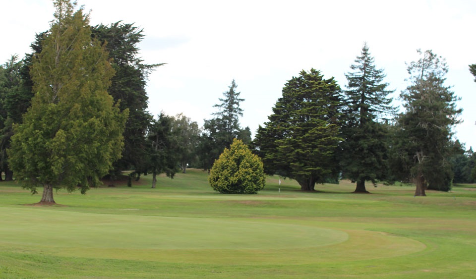 palace_developements_location_why_live_in_te_awamutu_golf_curse