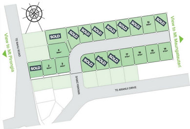 Palace Developments Lots Plan